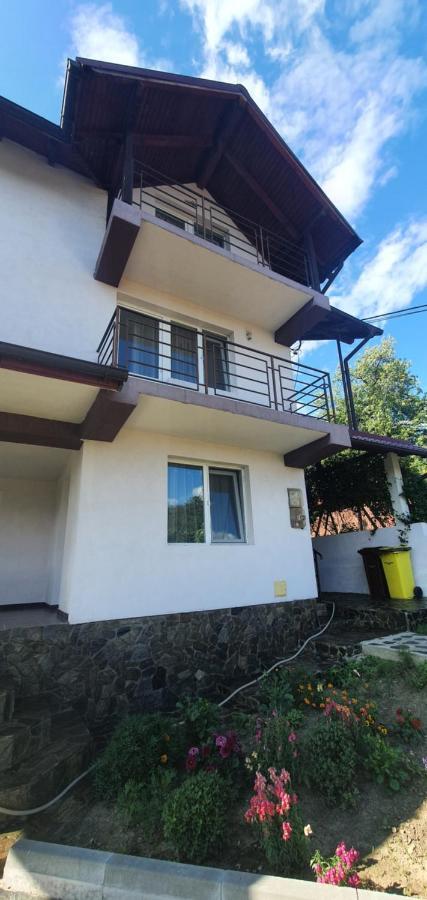 Casa Silvia Hotell Căpăţîneni-Ungureni Exteriör bild