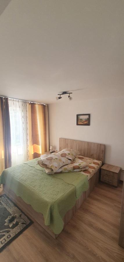 Casa Silvia Hotell Căpăţîneni-Ungureni Exteriör bild